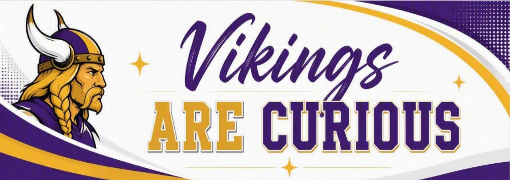 curious viking banner