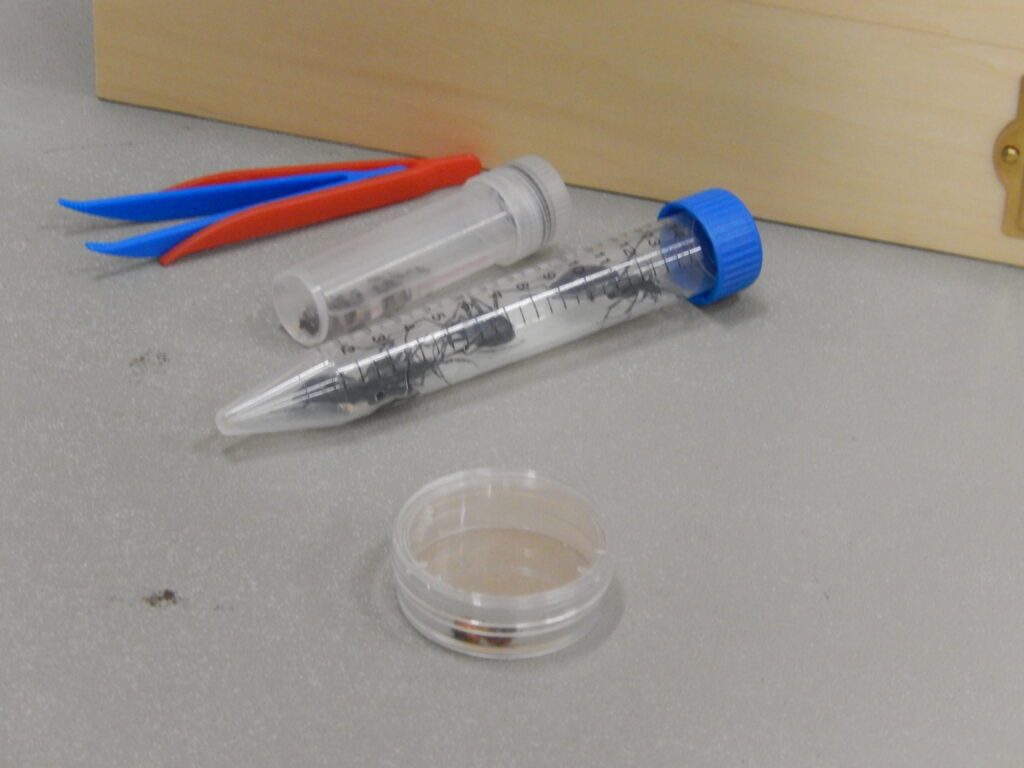 Tubes and plastic round case with insects in them