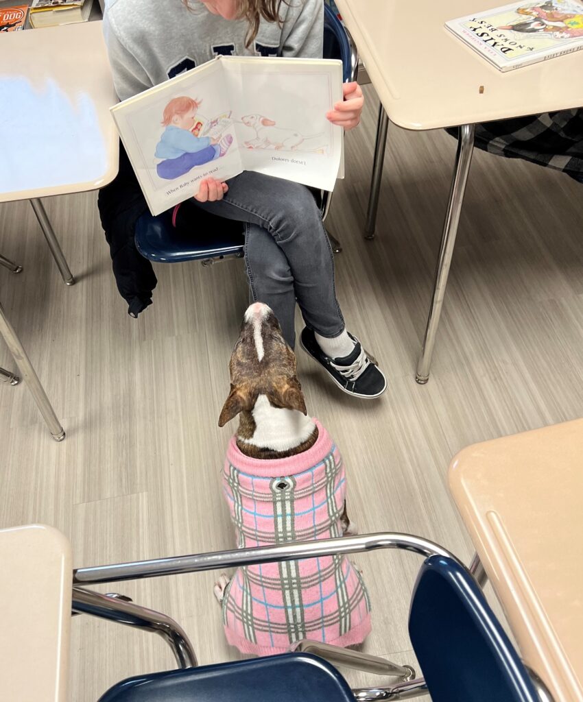 Student reading a book to a dog.